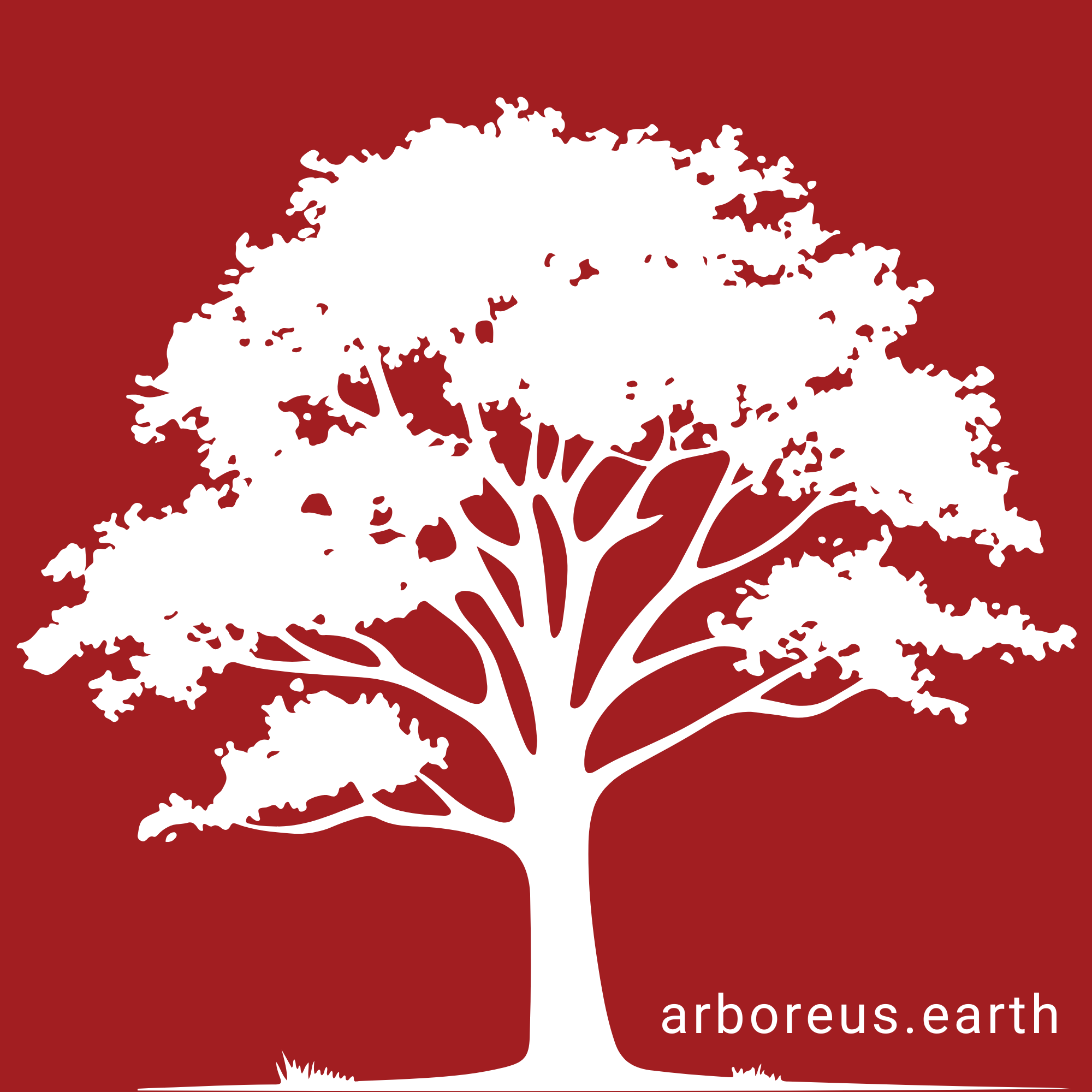 arboreus.earth logo