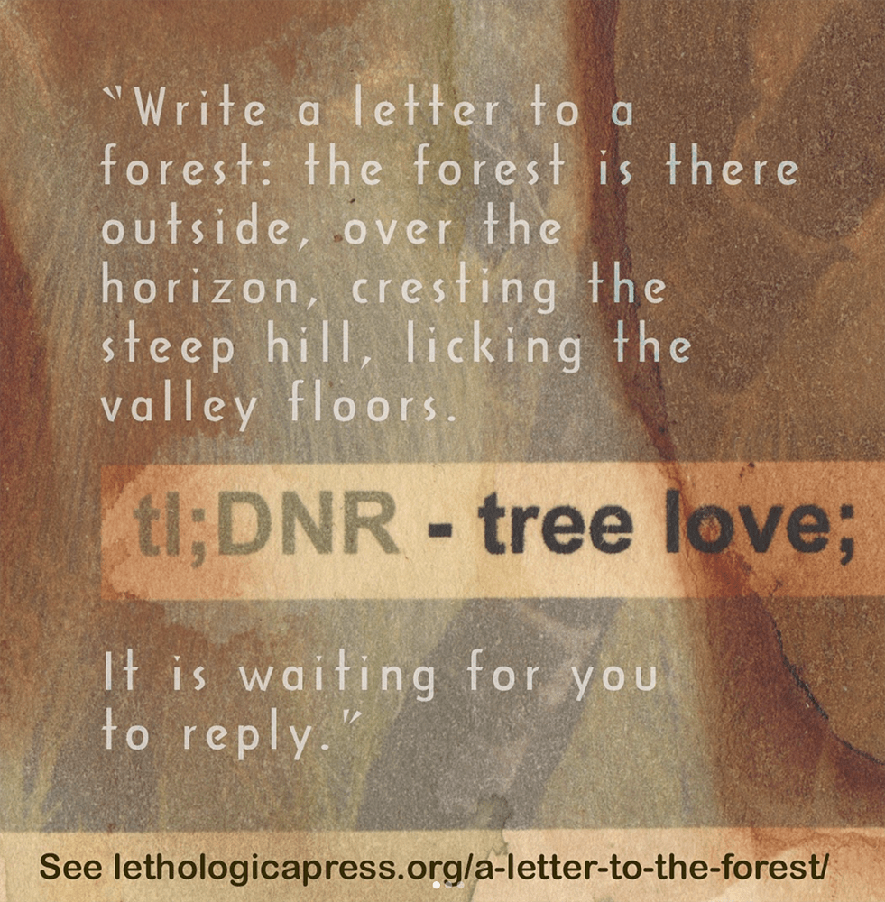 A tile that says: Write a letter to a forest: the forest is there outside, over the horizon, cresting the steep hill, licking the valley floors. tl: DNR - tree love: …It is waiting for you to reply. Click link above image for more details.
